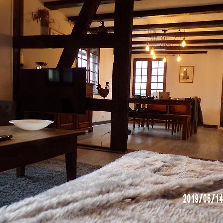 Duplex Saint Lustre, View Over Castle And Storks, 5 Mn From Colmar إِجويشا المظهر الخارجي الصورة