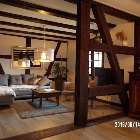 Duplex Saint Lustre, View Over Castle And Storks, 5 Mn From Colmar إِجويشا المظهر الخارجي الصورة