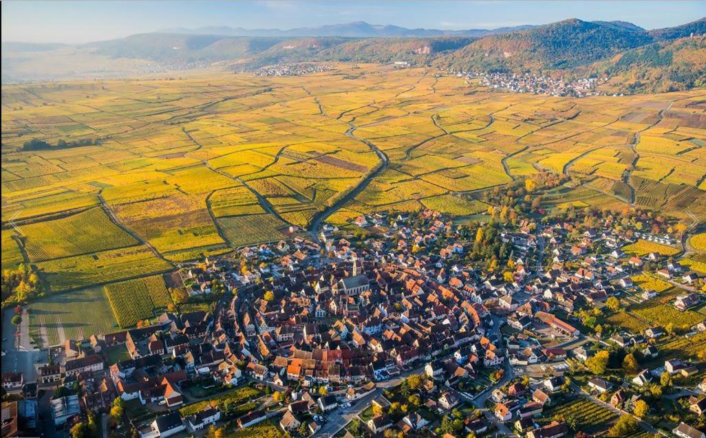 Duplex Saint Lustre, View Over Castle And Storks, 5 Mn From Colmar إِجويشا المظهر الخارجي الصورة