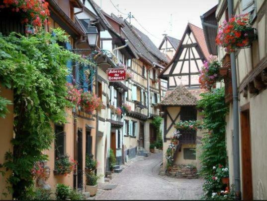 Duplex Saint Lustre, View Over Castle And Storks, 5 Mn From Colmar إِجويشا المظهر الخارجي الصورة
