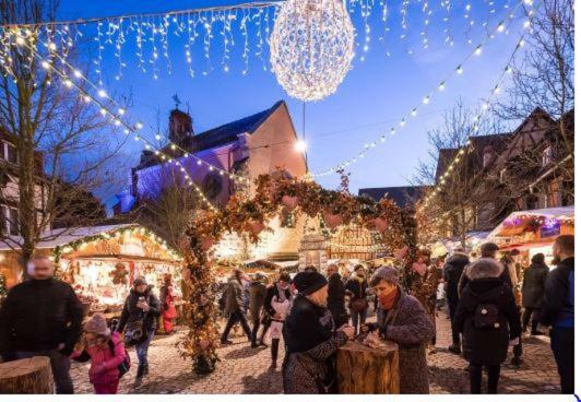 Duplex Saint Lustre, View Over Castle And Storks, 5 Mn From Colmar إِجويشا المظهر الخارجي الصورة