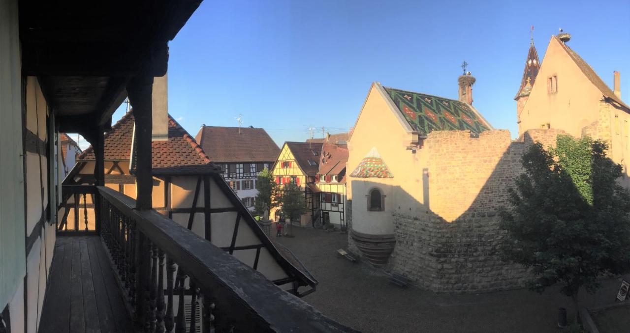 Duplex Saint Lustre, View Over Castle And Storks, 5 Mn From Colmar إِجويشا المظهر الخارجي الصورة